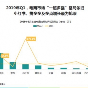 Dmall20193ƽ̨TOP10
