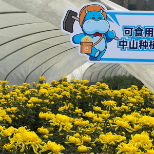 ϼһ챬3000Уδ촺˶
