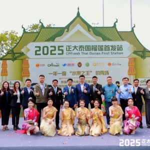 žٰ조2025̩׷վ