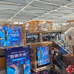 MALL˫꿪ҵڿ10