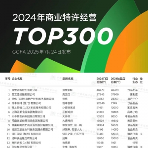 2024ҵӪTOP300